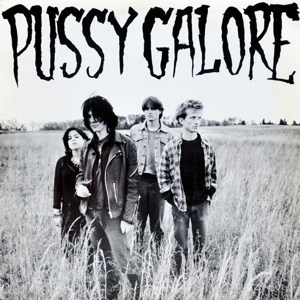 洋楽 Pussy Galore This Friday Night LP Pussy Galore - Groovy Hate Fuck (2013 - USA - Near Mint) - USED