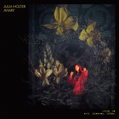 Julia Holter - Aviary - new vinyl