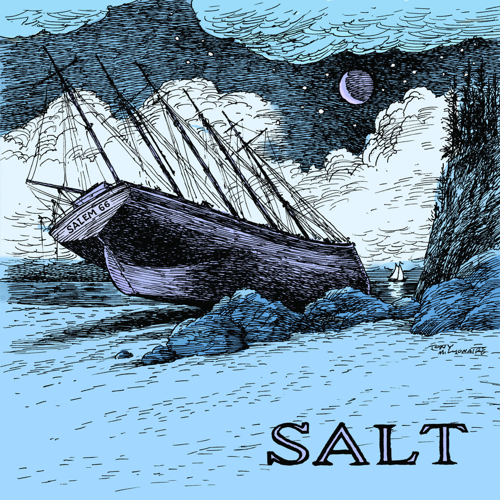 Salem 66 - SALT (BLUE VINYL) - new vinyl