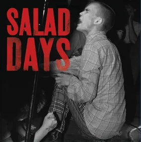 V/A - Salad Days: Music From The Documentary Film (RSD 2026) - new vinyl