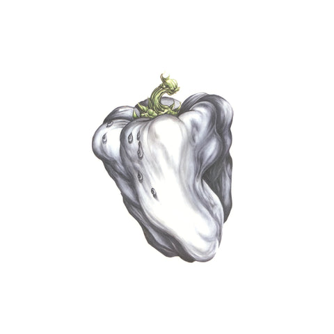 Ween - White Pepper - new vinyl