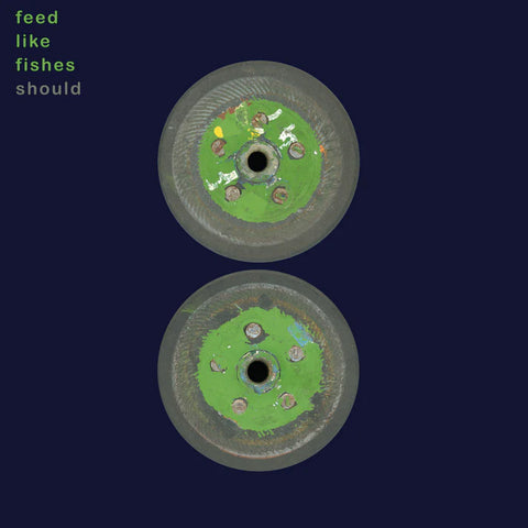 Should - Feed Like Fishes - new vinyl