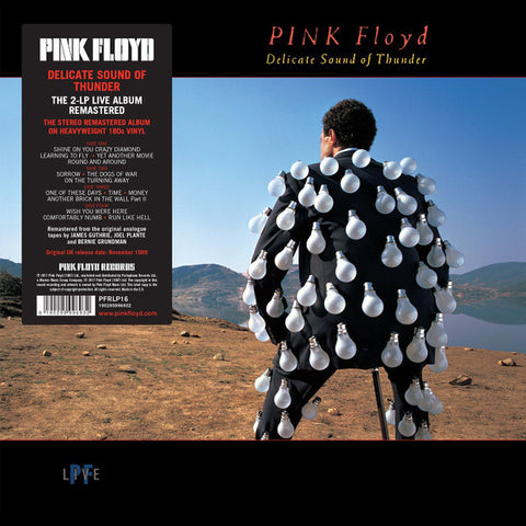 Pink Floyd – Delicate Sound Of Thunder - NEW VINYL