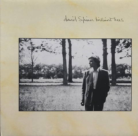 David Sylvian – Brilliant Trees (1984 - CAN - NM) - USED vinyl