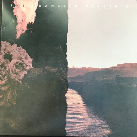 The Franklin Electric – In Your Head / In Your Heart (2020 - CAN - MINT) - USED vinyl