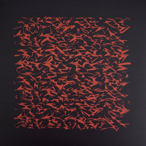 Peter Zinovieff & Lucy Railton – RFG Inventions For Cello And Computer (2020 - GER - MINT) - USED vinyl