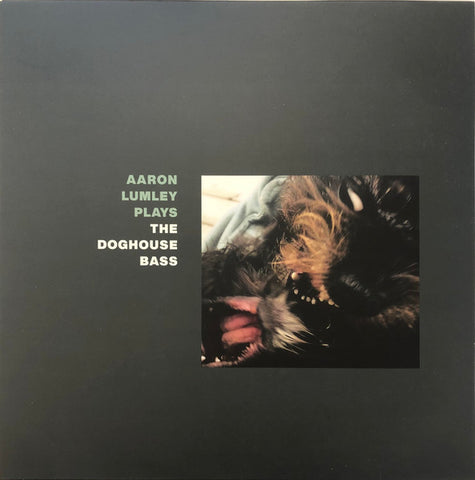 Aaron Lumley – Aaron Lumley Plays The Doghouse Bass (2019 - Netherlands - VG) - USED vinyl