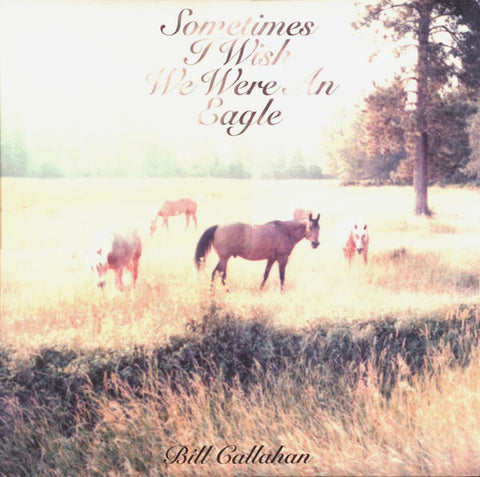 Bill Callahan – Sometimes I Wish We Were An Eagle (2009 - USA - NM) - USED vinyl