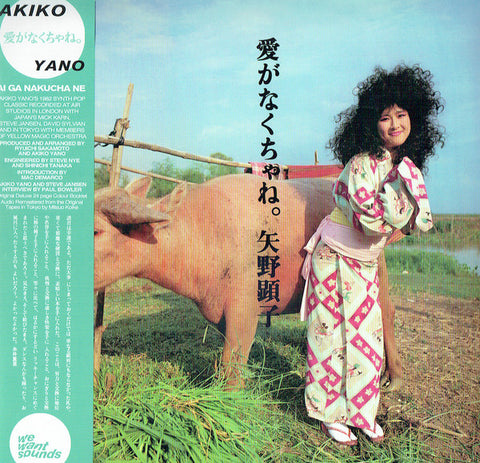 Akiko Yano – Ai Ga Nakucha Ne (2021 - Europe - VG++) - USED vinyl