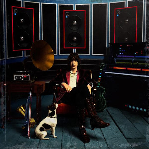 Julian Casablancas - Phrazes For The Young (2009 - USA - VG+) - USED vinyl
