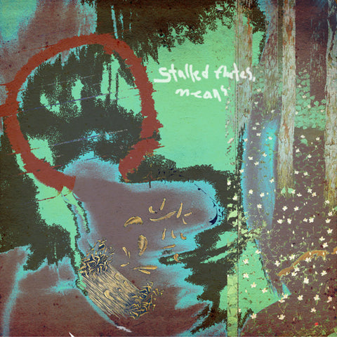 Asian Glow – Stalled Flutes, Means (2023 USA Green & Black Swirl 2LP Near Mint) - USED vinyl