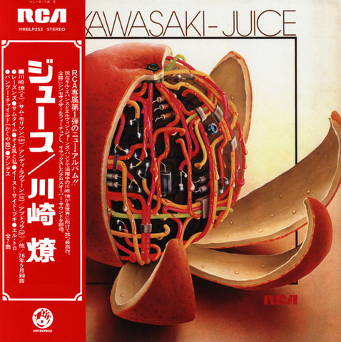 Ryo Kawasaki – Juice (2022 - UK - VG+) - USED vinyl