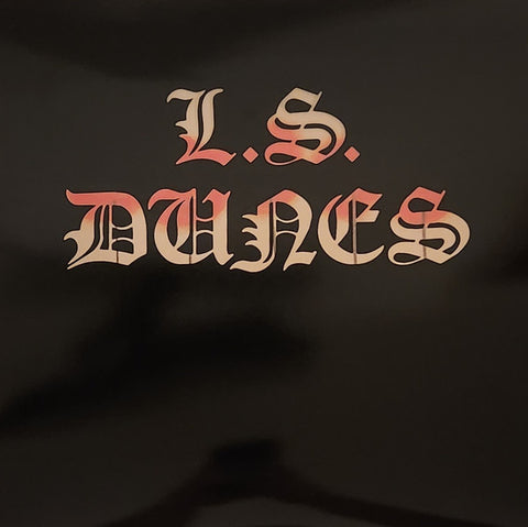 L.S. Dunes – Past Lives (2022 - USA & CAN - NM) - USED vinyl
