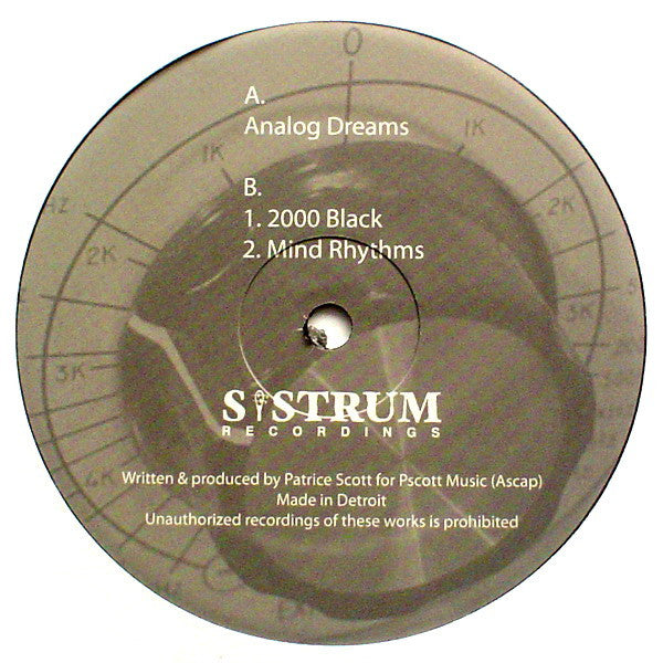 Patrice Scott – Analog Dreams (2010 - USA - VG+) - USED vinyl