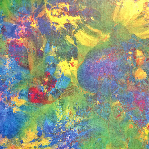 Jon Collin & Demdike Stare – Minerals (2023 - UK - MINT) - USED vinyl