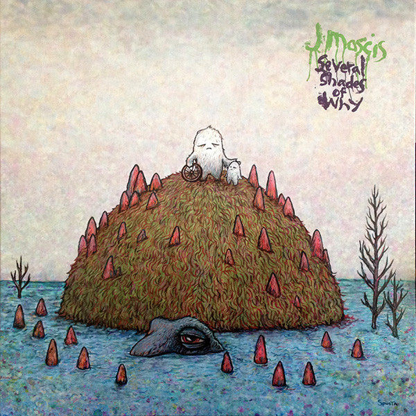 J Mascis – Several Shades Of Why (2011 - USA - VG+) - USED vinyl