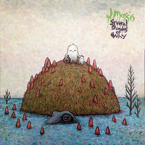 J Mascis – Several Shades Of Why (2011 - USA - VG+) - USED vinyl