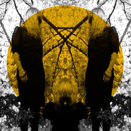 Austra – Feel It Break (2011 - USA - NM) - USED vinyl