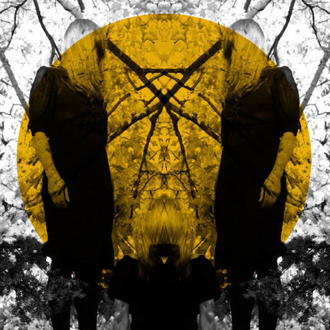 Austra – Feel It Break (2011 - USA - NM) - USED vinyl