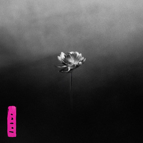 Little Simz – Lotus (Electric Pink With Splatter Vinyl) - new vinyl