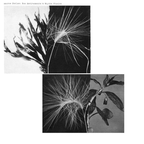 Andrew Pekler – New Environments & Rhythm Studies (2025 - GER - MINT) - USED vinyl