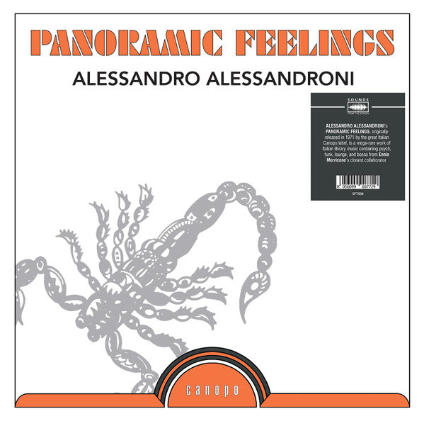 Alessandro Alessandroni – Panoramic Feelings - new vinyl