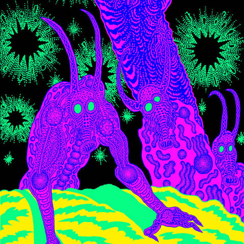 Osees – Abomination Revealed At Last - new vinyl