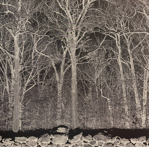 Pile – Sunshine and Balance Beams - new vinyl