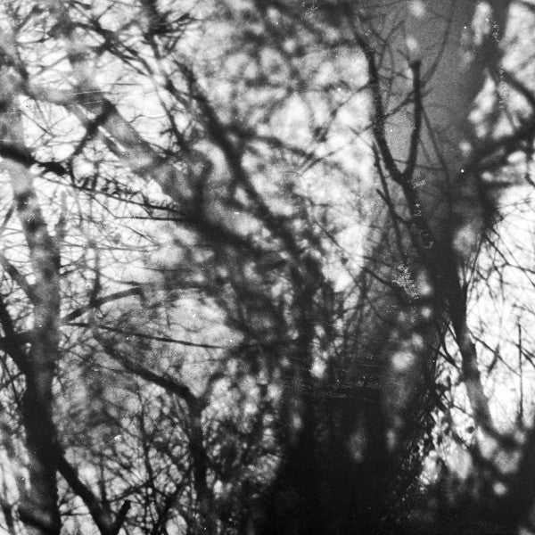 Grouper – Way Their Crept - new vinyl