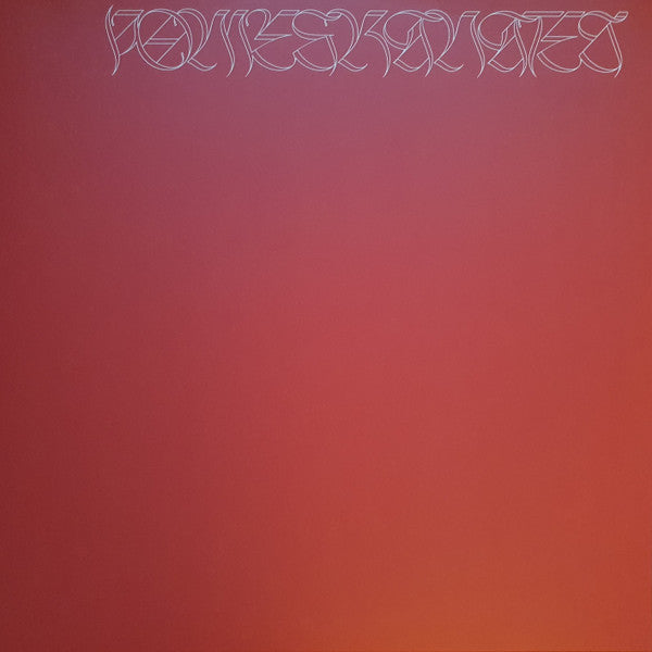 Nicolas Jaar – Pomegranates - new vinyl