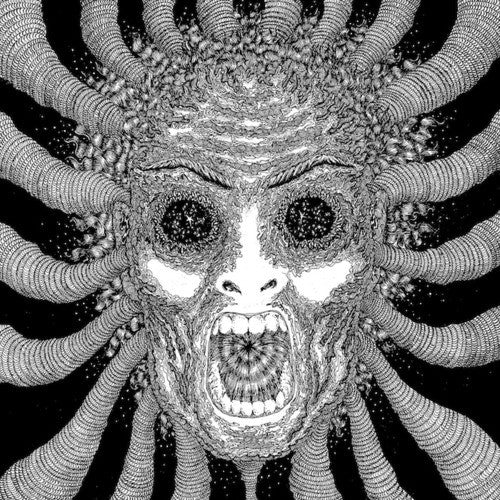 Ty Segall Band – Slaughterhouse (2012 - USA - 2 x 10" - VG+) - USED vinyl