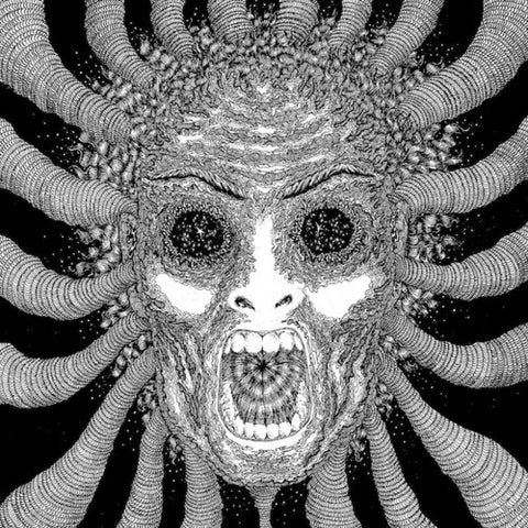 Ty Segall Band – Slaughterhouse (2012 - USA - 2 x 10" - VG+) - USED vinyl