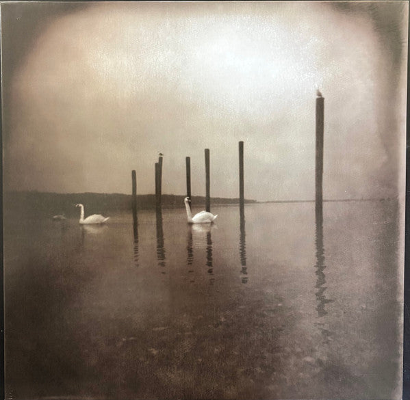 OM – Conference Of The Birds - new vinyl