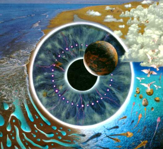 Pink Floyd – Pulse - USED cd