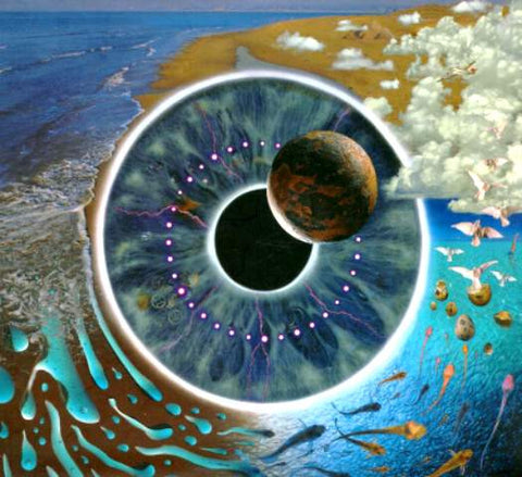 Pink Floyd – Pulse - USED cd