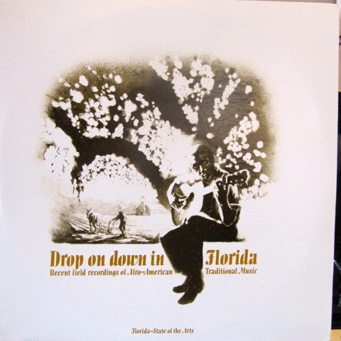 Various - Drop On Down In Florida (1981 - USA - 2LP - Near Mint) - USED vinyl