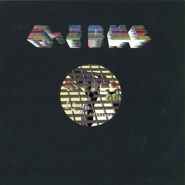 R-Zone – R-Zone 08 (2013 - NETH - VG) - USED vinyl