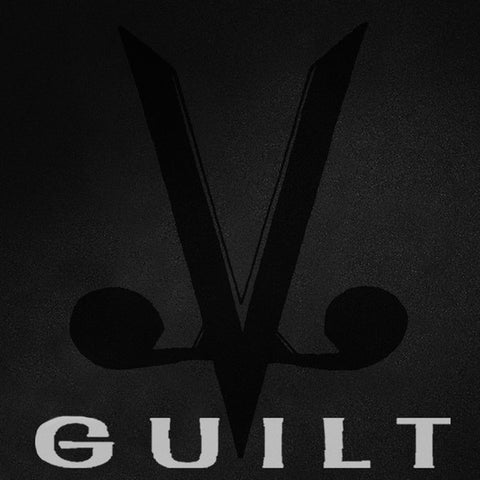 Animal Lover – Guilt (2014 - USA - LTD Green Translucent & Black Swirl Vinyl - VG+) - USED vinyl