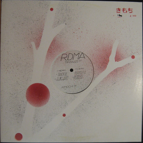 RDMA – Tantalize EP (2014 - USA - VG) - USED vinyl