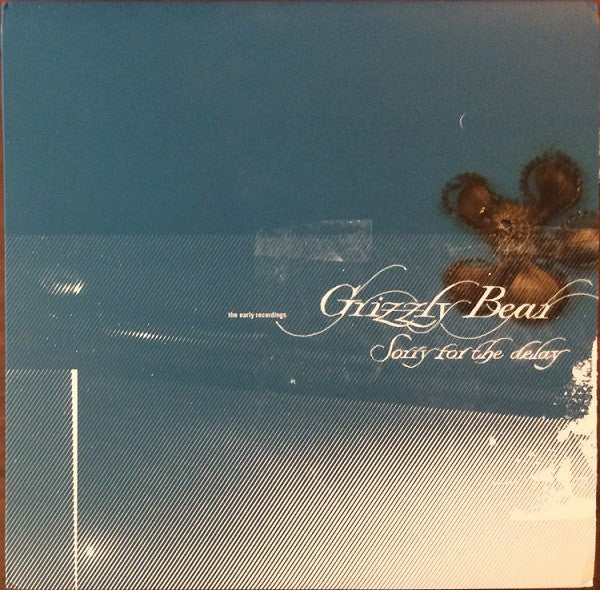 Grizzly Bear – Sorry For The Delay (The Early Recordings) (2006 - USA - NM) - USED vinyl