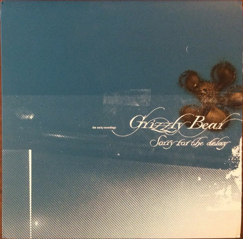 Grizzly Bear – Sorry For The Delay (The Early Recordings) (2006 - USA - NM) - USED vinyl