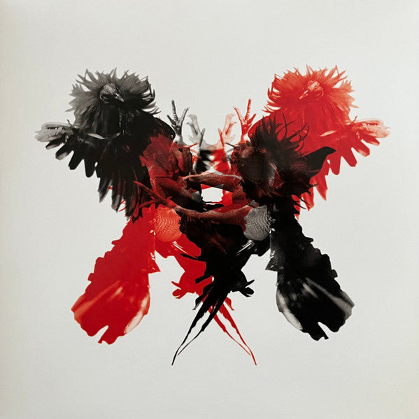 Kings Of Leon – Only By The Night - new vinyl