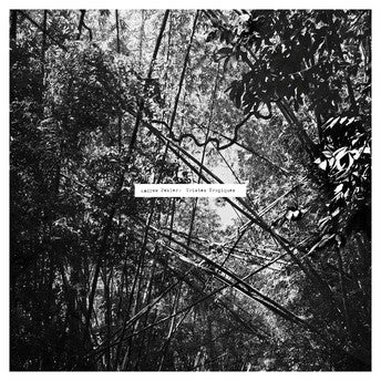 Andrew Pekler – Tristes Tropiques (2016 - GER - MINT) - USED vinyl