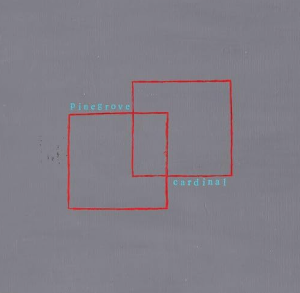 Pinegrove - Cardinal - new vinyl