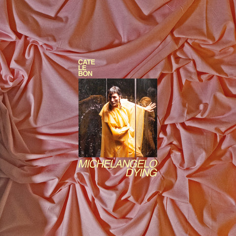 Cate Le Bon - Michelangelo Dying - new vinyl