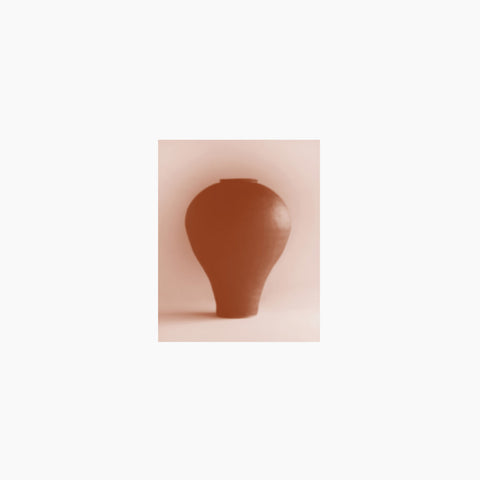 Beatriz Ferreyra - A Distracted God - new vinyl