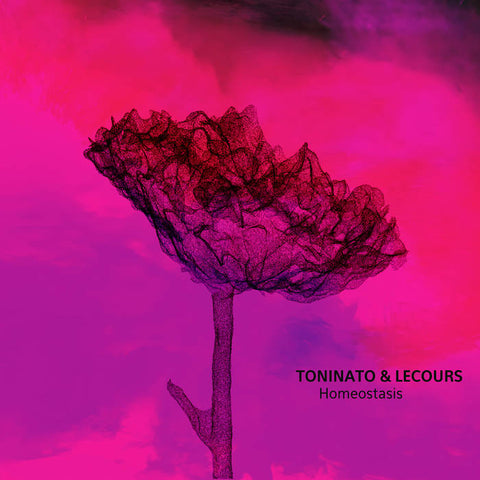 Toninato & Lecours - Homeostasis - new vinyl