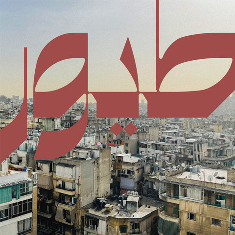 Nour Sokhon - Beirut Birds - new vinyl