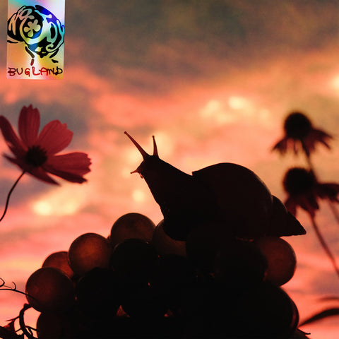 No Joy - Bugland - new vinyl