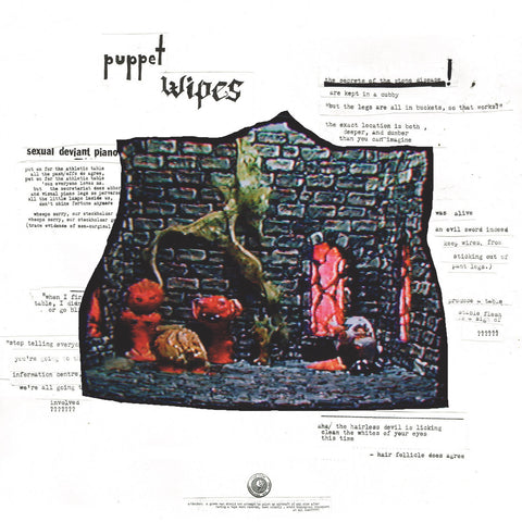 Puppet Wipes - The Stones Are Watching and They Can Be a Handful - new vinyl